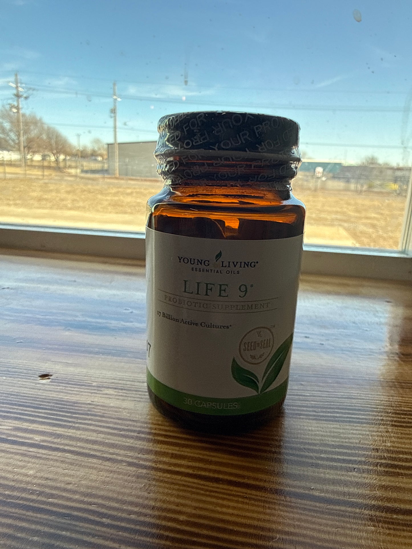 Life 9 Probiotic Supplement