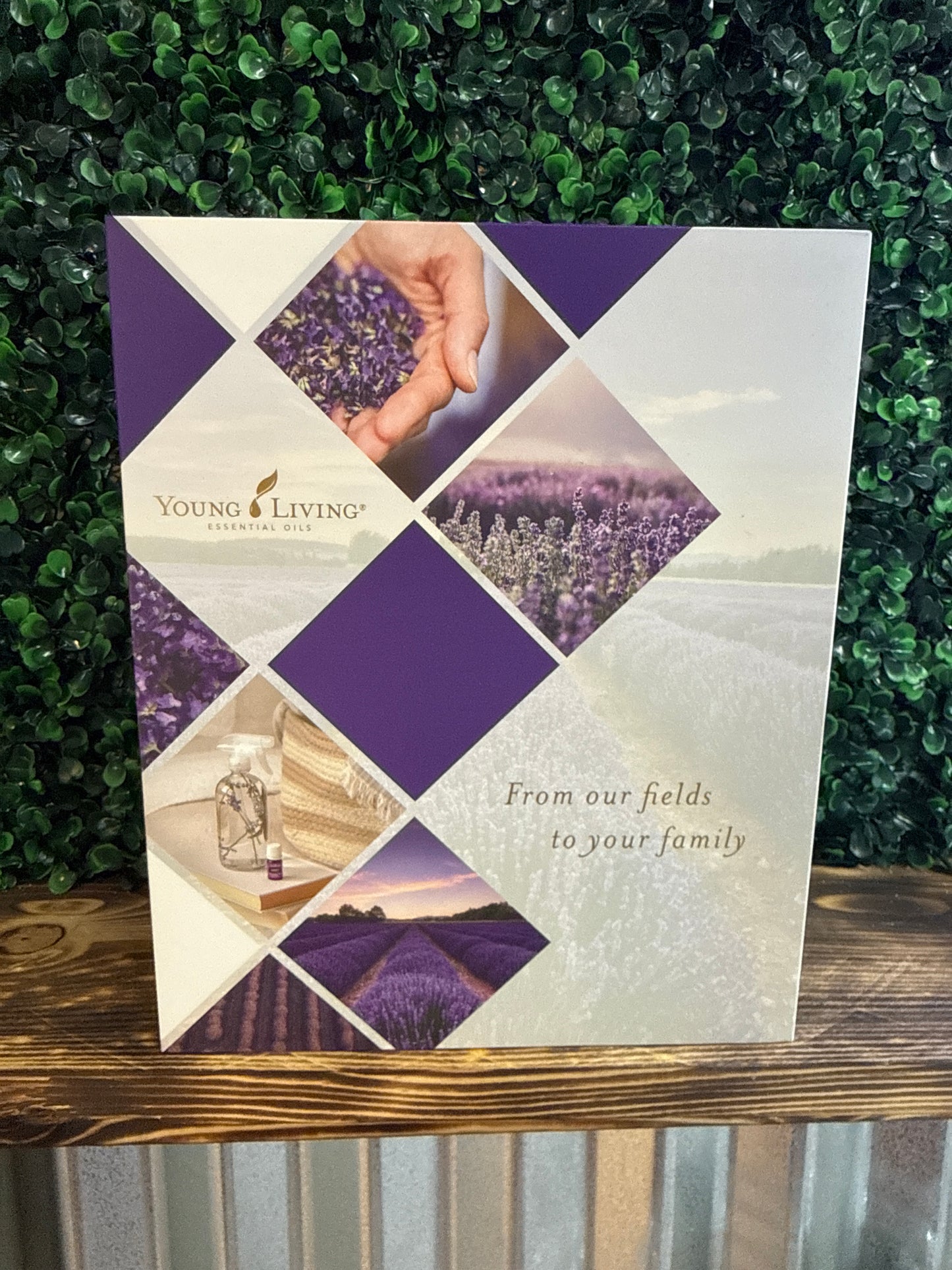 Essential Oil Starter Kit and Diffuser