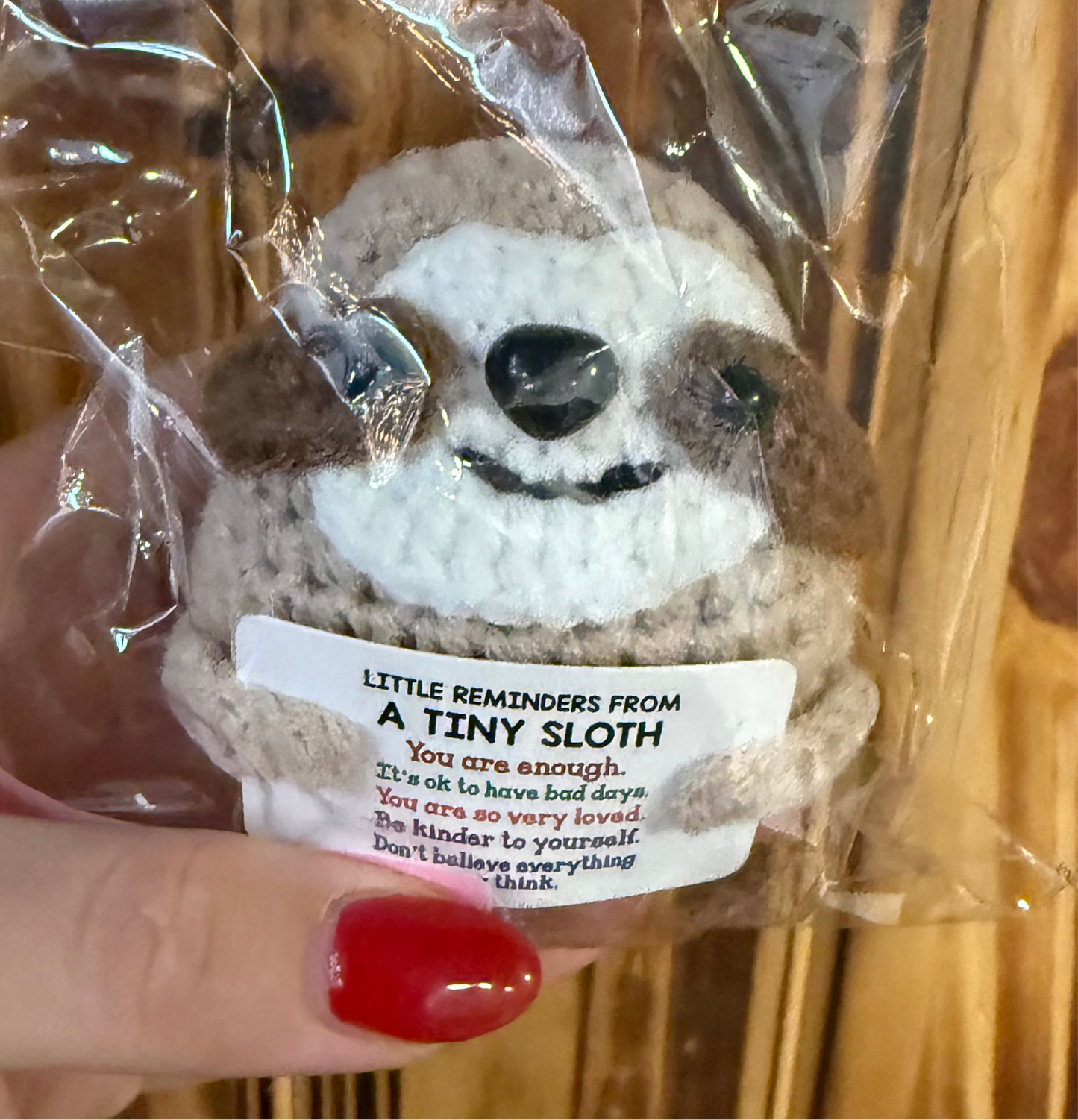 Emotional support sloth