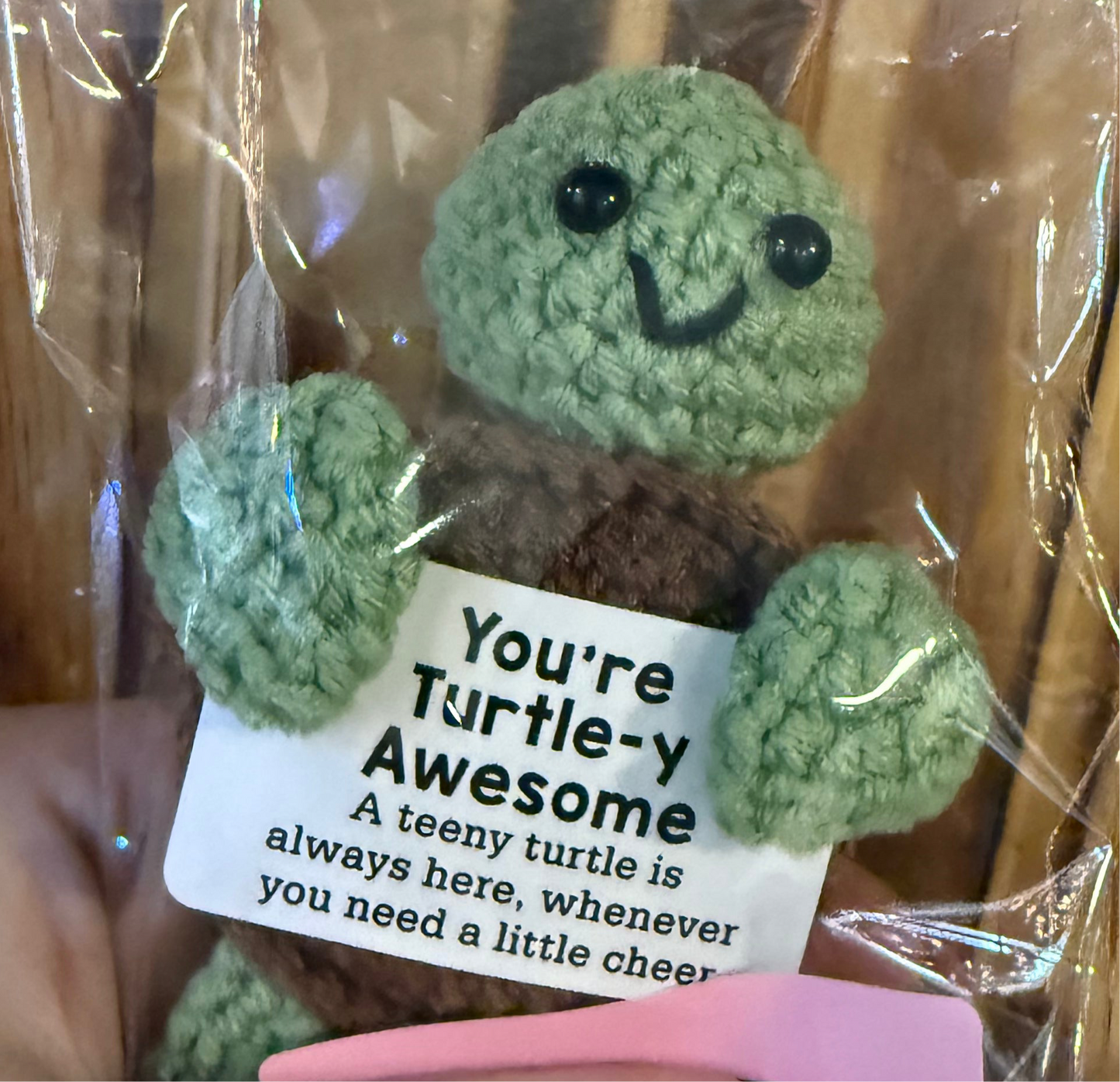 Emotional support turtle