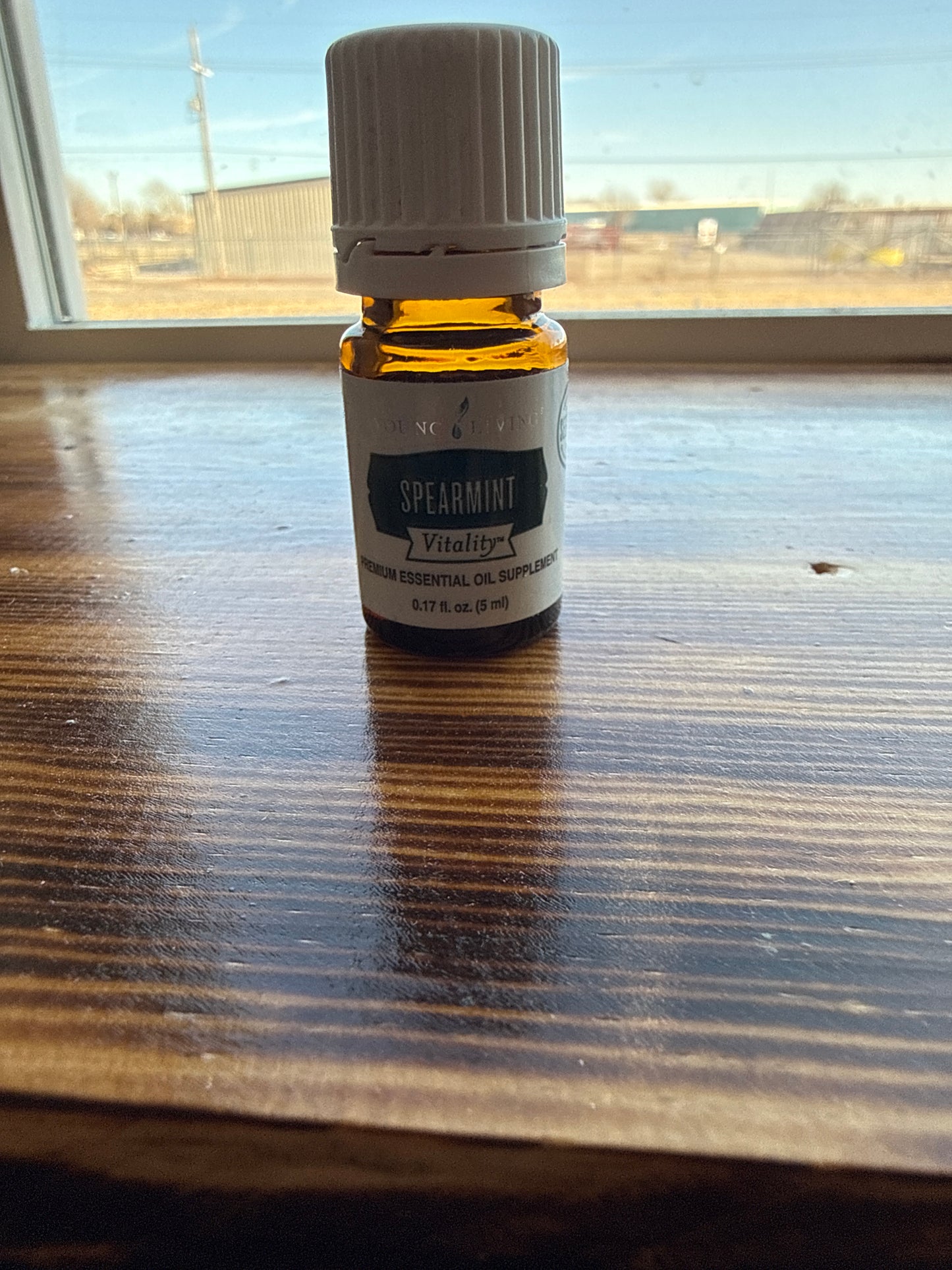 Spearmint